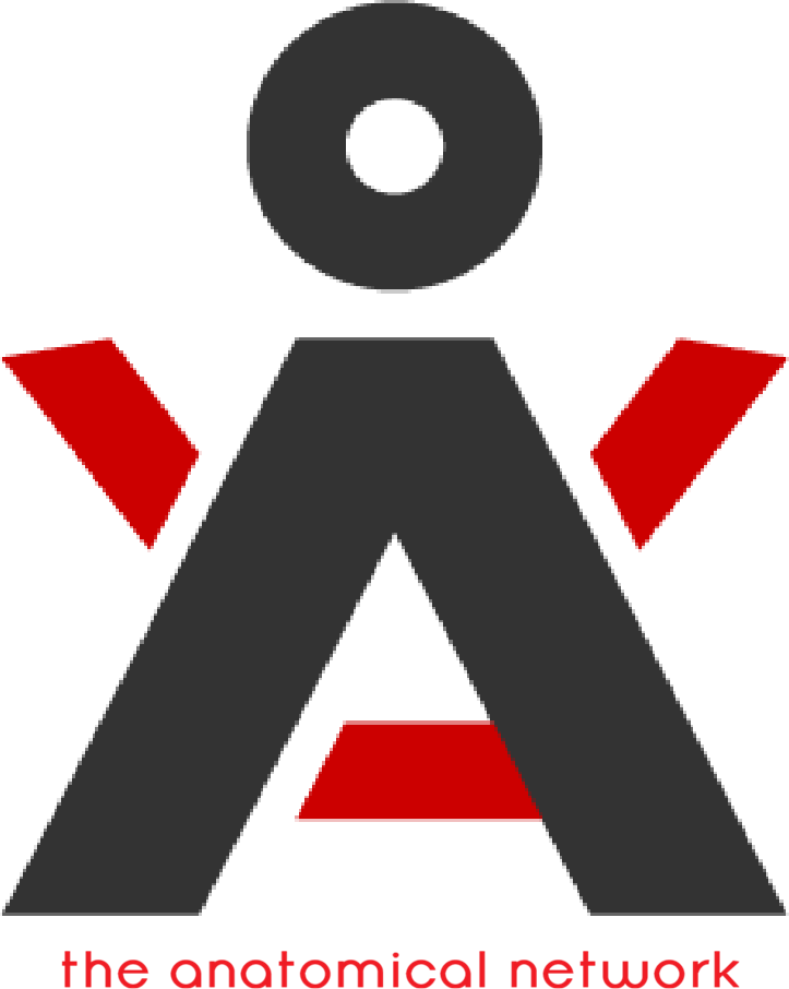 The Anatomical Network